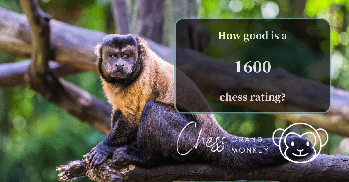 Monkey playing chess - 1600 chess rating