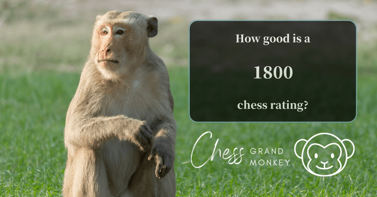 Monkey playing chess - 1800 chess rating