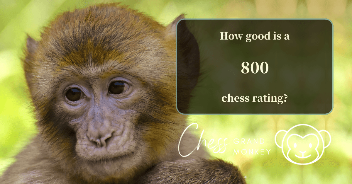 Monkey playing chess - 800 chess rating