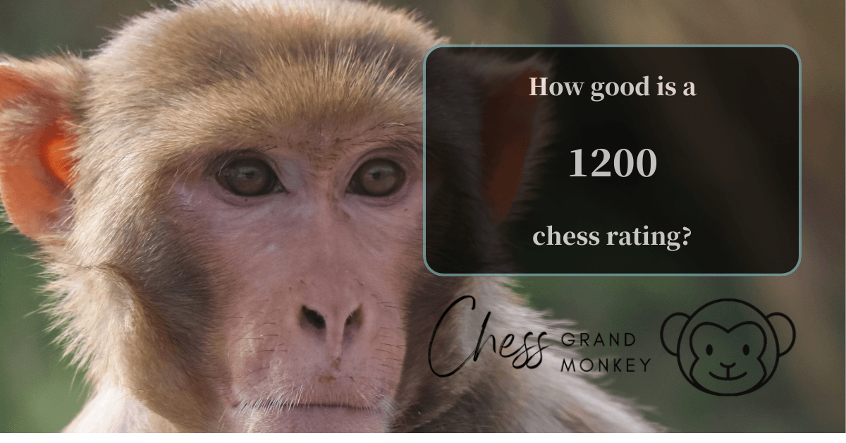 Monkey playing chess - 1200 chess rating