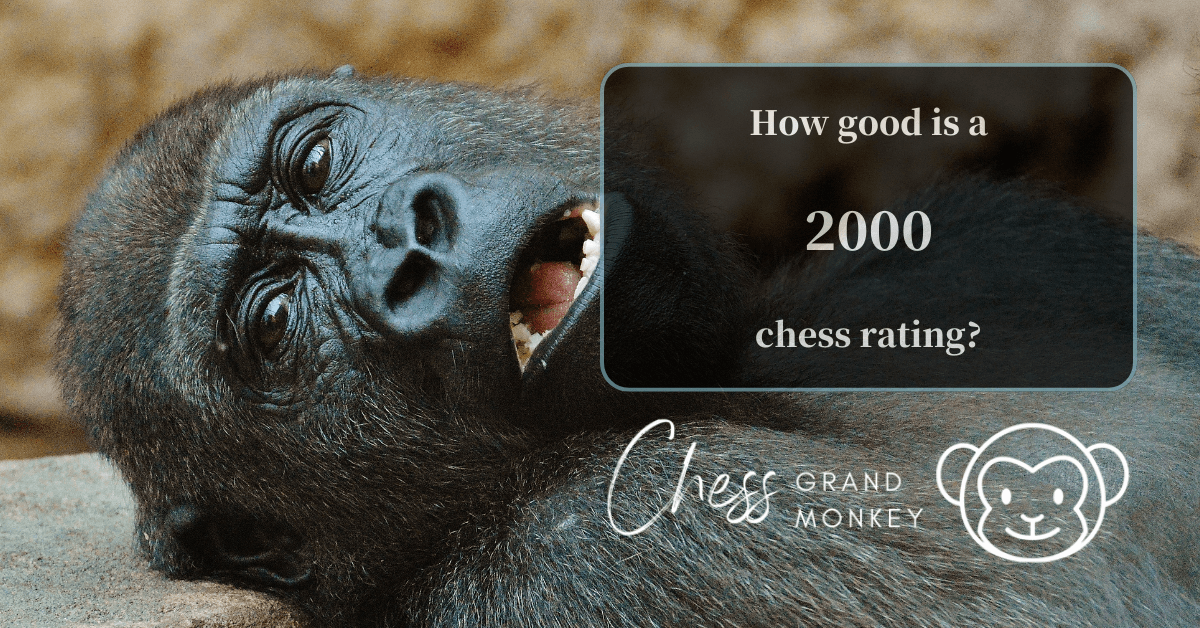 Monkey playing chess - 2000 chess rating